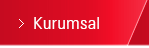 Kurumsal